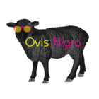 OvisNigra