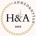 AhmedBakry134