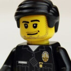brickpolice