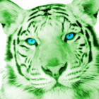 GreenTiger