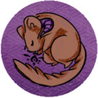 Avichu
