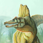 Paleo-parallax