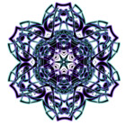 Qodiaz