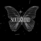 SoulMindShop2