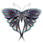 Agavadesigns