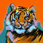 luckytiiger