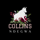 Collins-home
