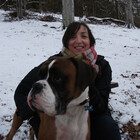 myboxerdog