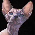 artwichstudios