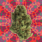 GanjaStickas