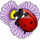 RadMomCreations