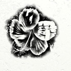 caribbeanart