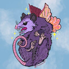 Pixie-Possum