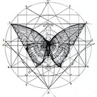 vallax