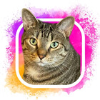 troublethecat97