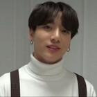 softie3048
