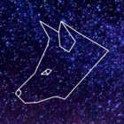 sacredfoxmusic