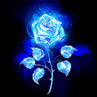 BlueRxseBxi