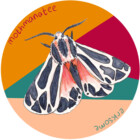 mothmanatee