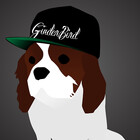GinderBird