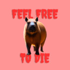 softboieda