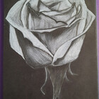 MoonWillow48