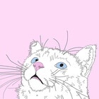 Frankies-Design