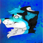 SBotterCollie
