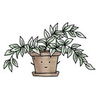 greenhoya
