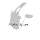 AlluringNature