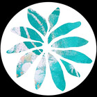 PaintFairy
