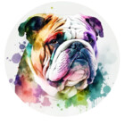 CooperDDesigns