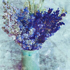 bluegirldesign