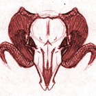 wyvex