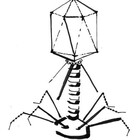 physicssucksts