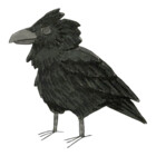 CryptidCorvid