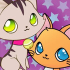 NekoKittyStudio