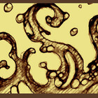 sarsaparilla