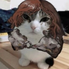 HoneyJin