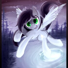 VyletPony