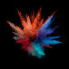CelosiaBloom
