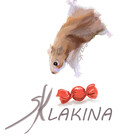 SKlakina