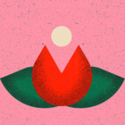 manostudio