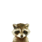 Redbubble profile picture for @wool