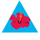 miguellasala