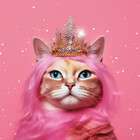 TuftedCat