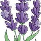 GroveReichert