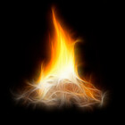 mitchpascoe