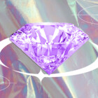 ShopChely