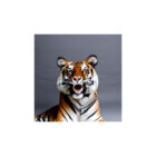 Redbubble profile picture for @Swox